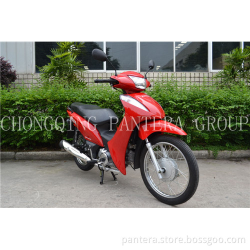 MOTORCYCLE SM110-18